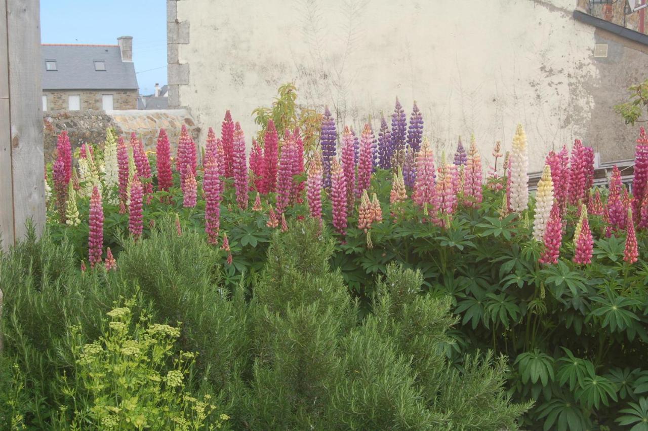 L'Abri Du Sillon Bed & Breakfast Pleubian Dış mekan fotoğraf